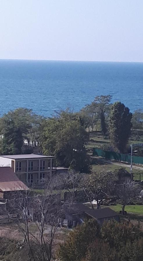 Домики У Лизы Под Ключ פיזונדה מראה חיצוני תמונה