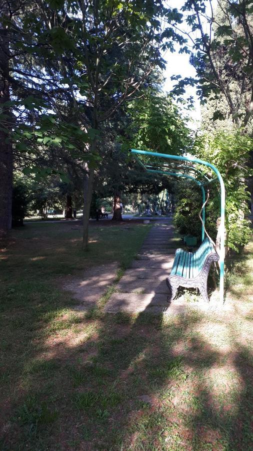 Домики У Лизы Под Ключ פיזונדה מראה חיצוני תמונה