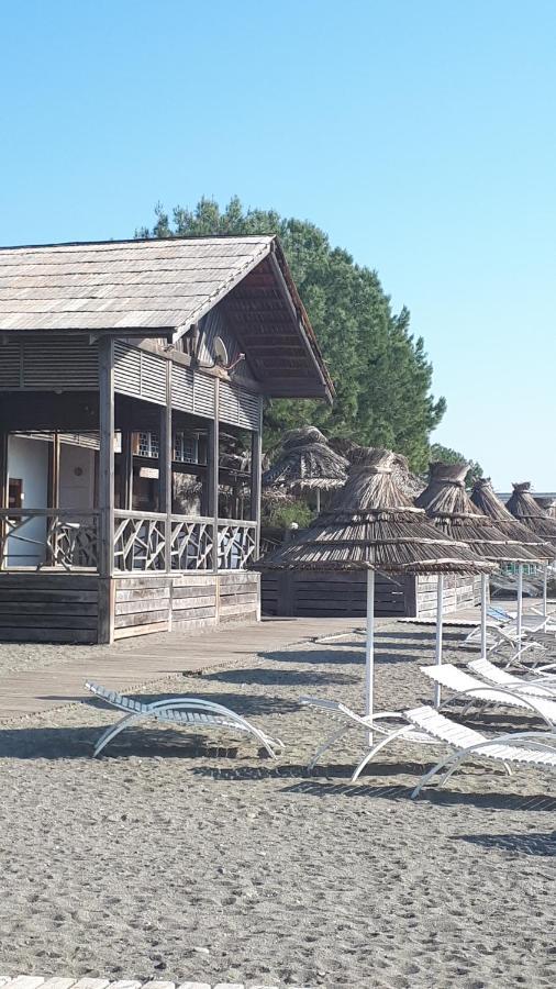 Домики У Лизы Под Ключ פיזונדה מראה חיצוני תמונה